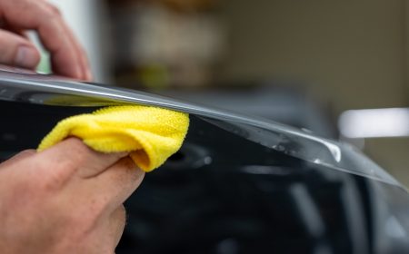 Paint Protection