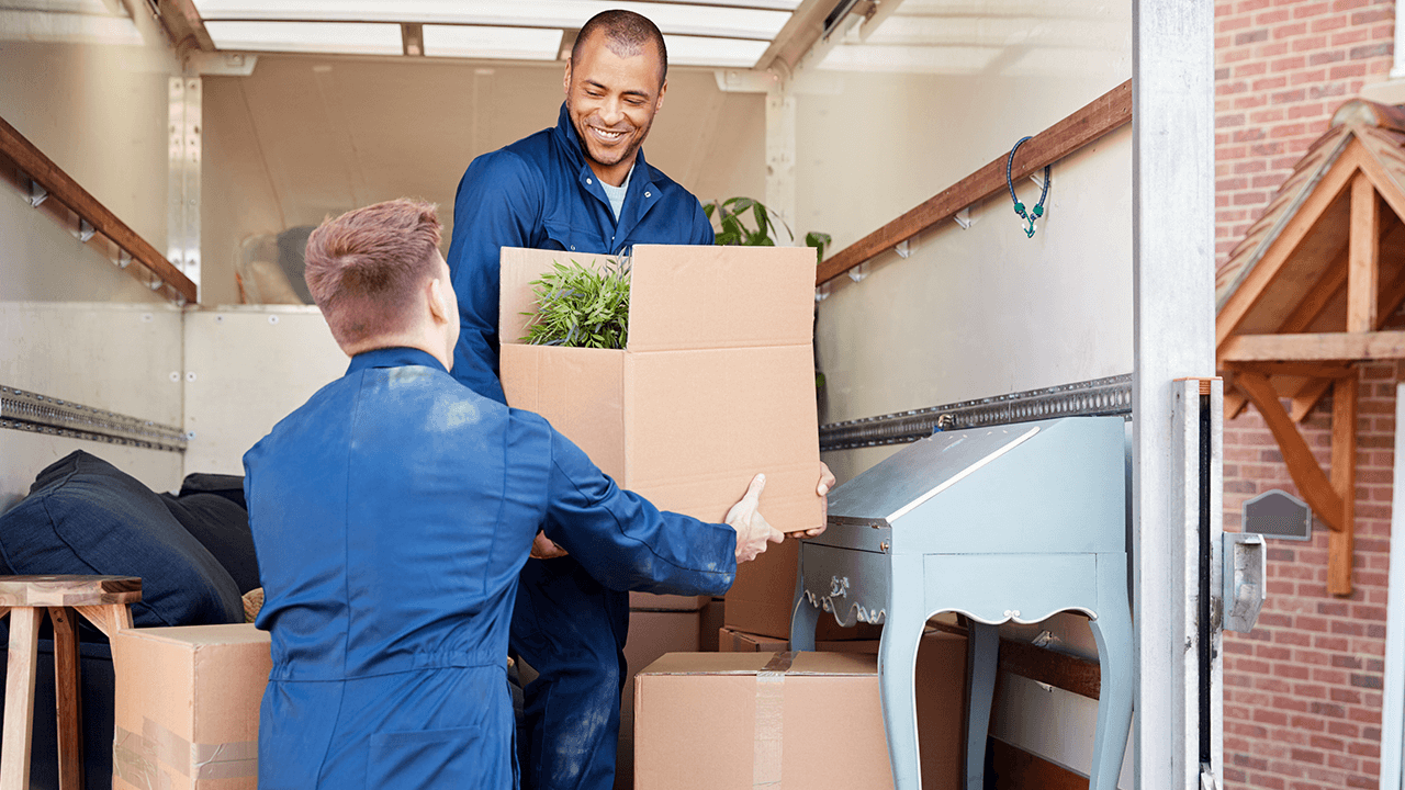 Online Businesses